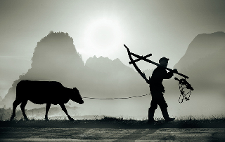 圖片1~1.png 圖片1~1.png